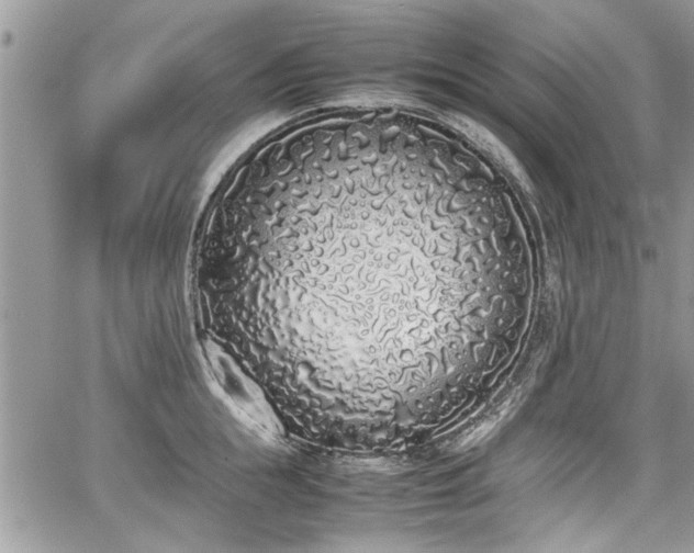 X0000067950855200604171433