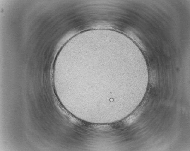 X0000067950856200604171433