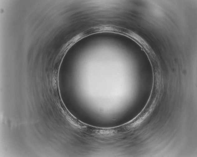 X0000067950857200604171433