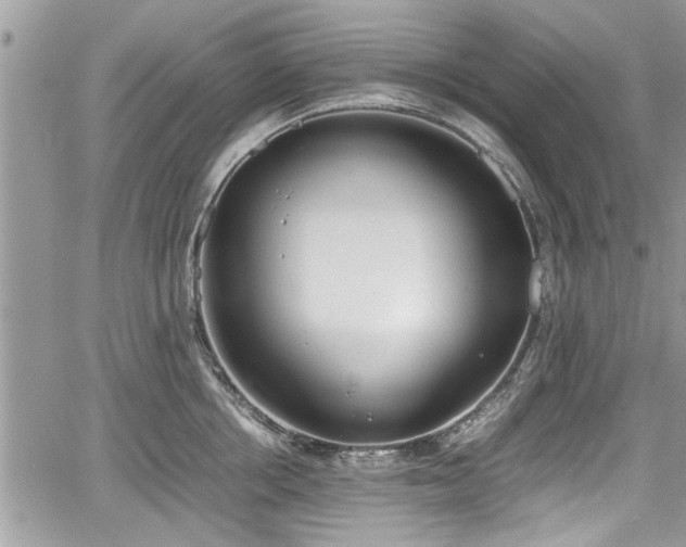 X0000067950858200604171433