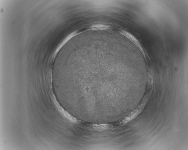 X0000067950859200604171434