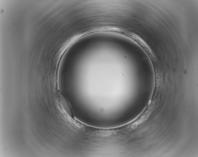 X0000067950860200604171434