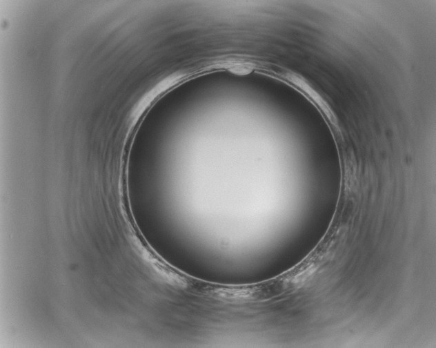 X0000067950861200604171434