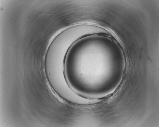 X0000067950862200604171434