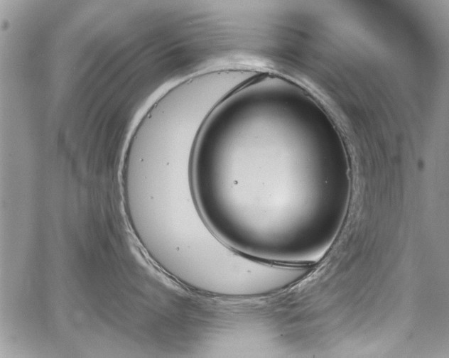 X0000067950864200604171434