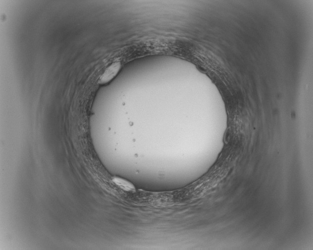 X0000067950865200604171433