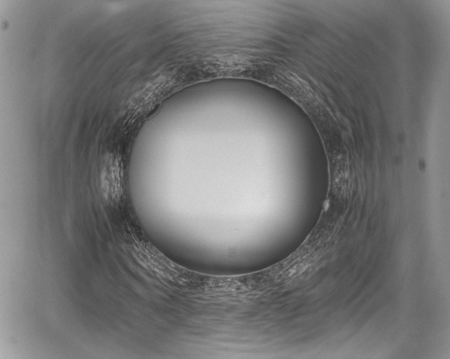 X0000067950866200604171433