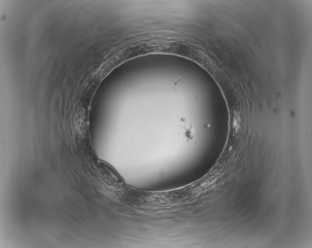 X0000067950867200604171433