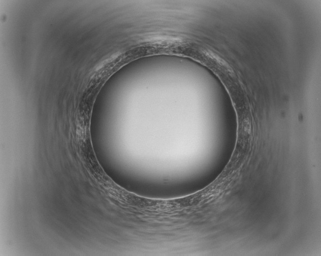 X0000067950869200604171433