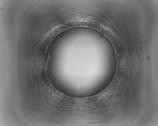 X0000067950870200604171433