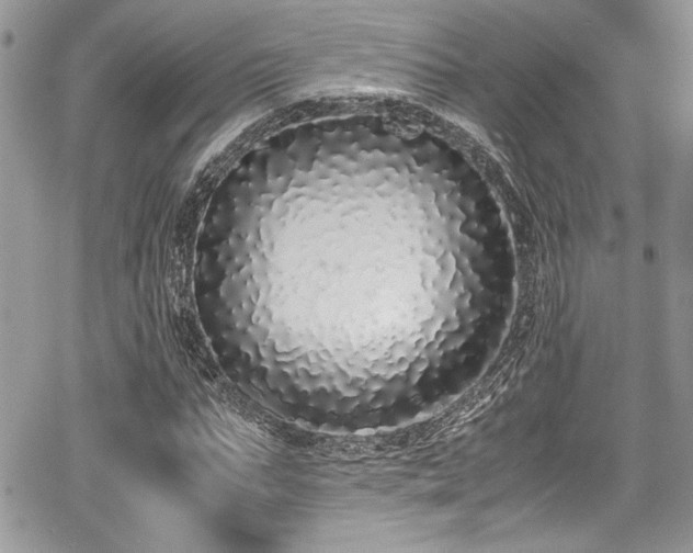 X0000067950871200604171433