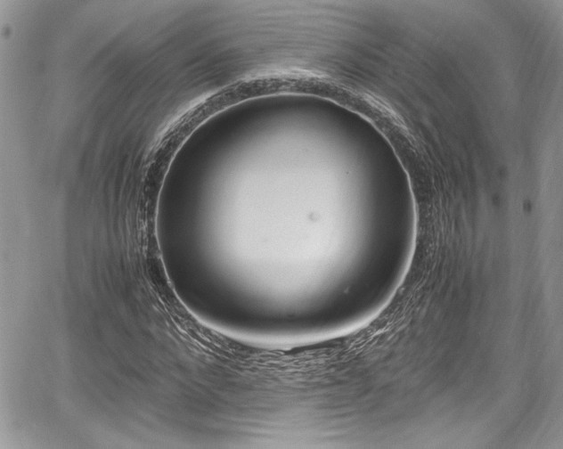 X0000067950872200604171433