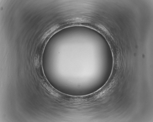 X0000067950873200604171433