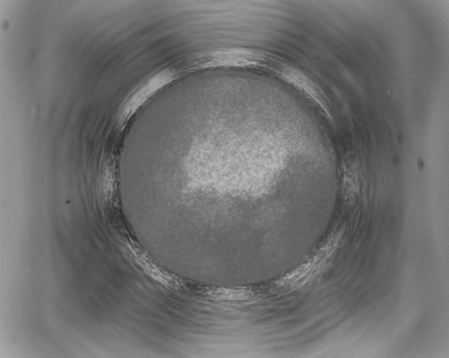 X0000067950874200604171433