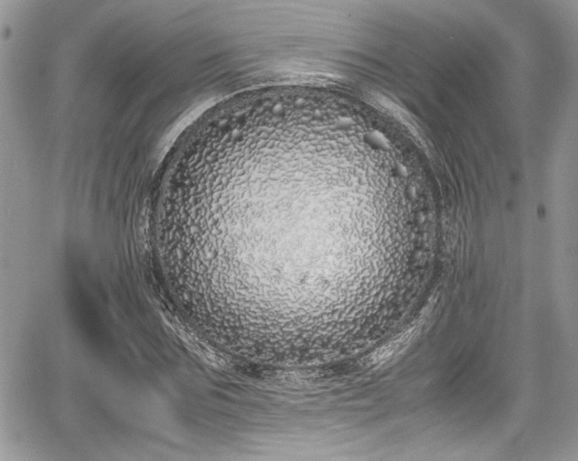 X0000067950875200604171433