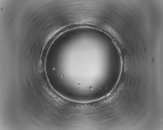 X0000067950876200604171433