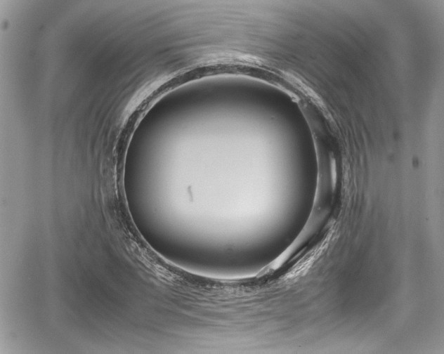 X0000067950877200604171433