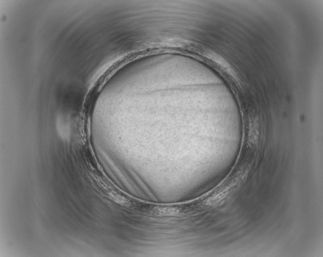 X0000067950878200604171433