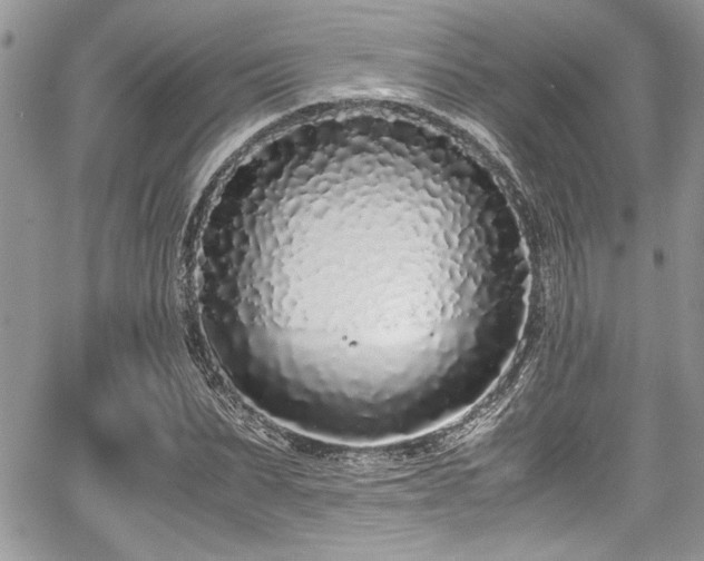 X0000067950879200604171433