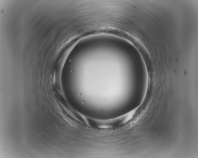 X0000067950881200604171433