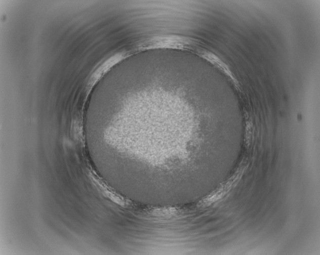 X0000067950882200604171432