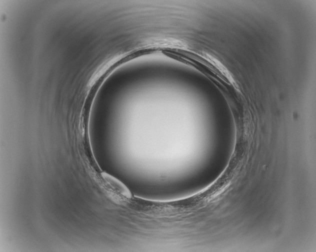 X0000067950885200604171432