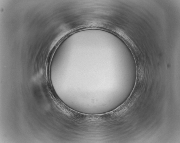 X0000067950886200604171432