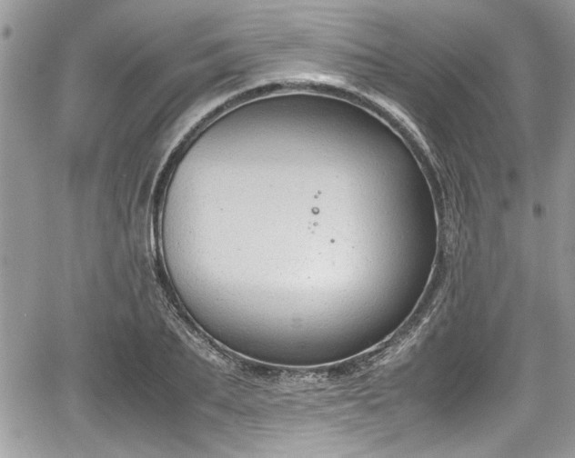 X0000067950887200604171432