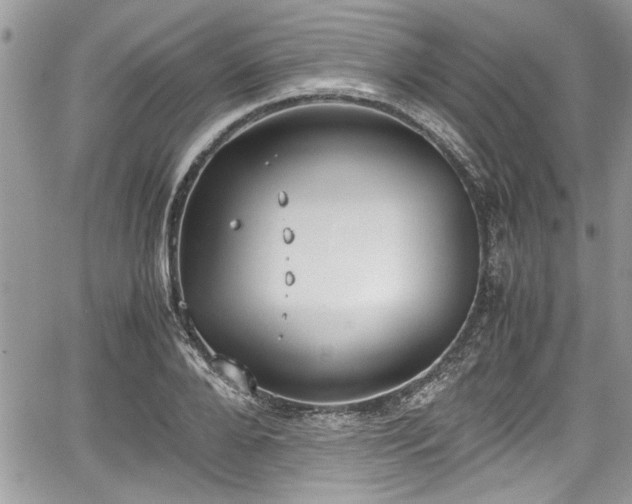 X0000067950888200604171432