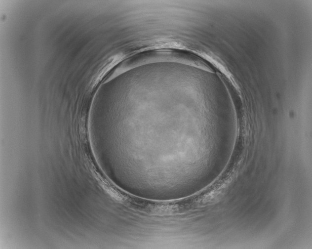 X0000067950889200604171432