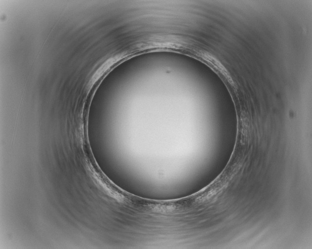 X0000067950890200604171432