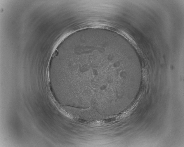 X0000067950891200604171432