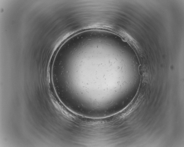 X0000067950892200604171432