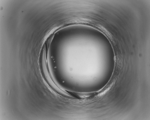 X0000067950893200604171432