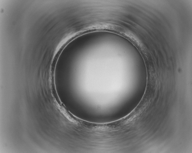 X0000067950894200604171432