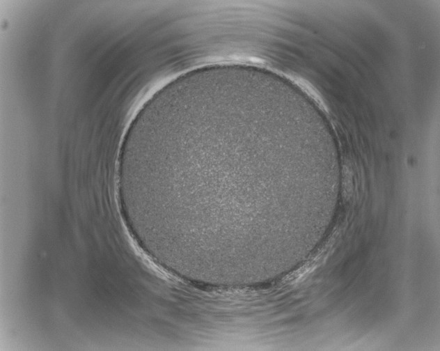 X0000067950895200604171432