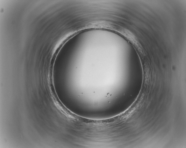 X0000067950896200604171432