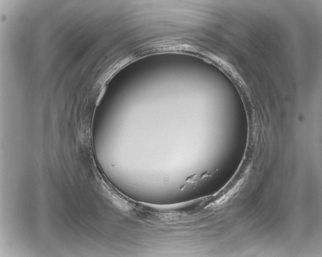 X0000067950897200604171432