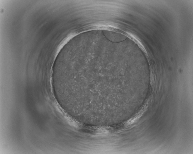 X0000067950899200604171432