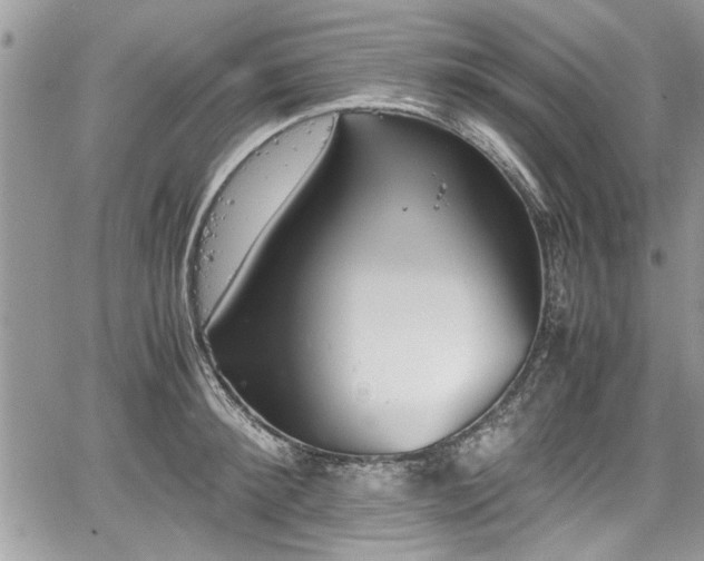 X0000067950900200604171432