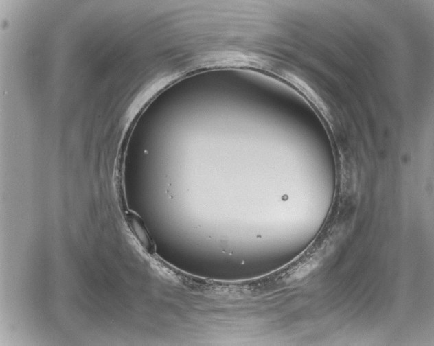 X0000067950901200604171432