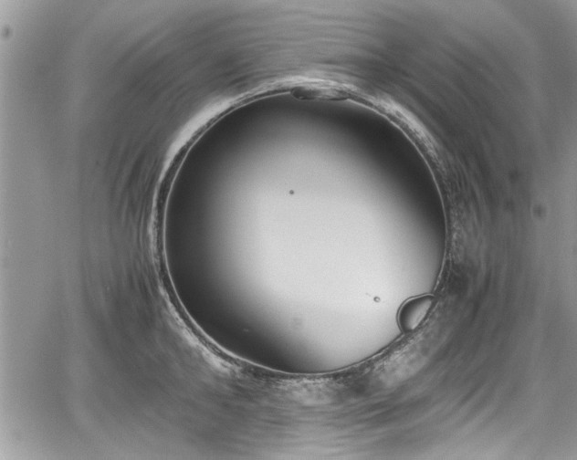 X0000067950902200604171432