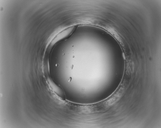 X0000067950904200604171432