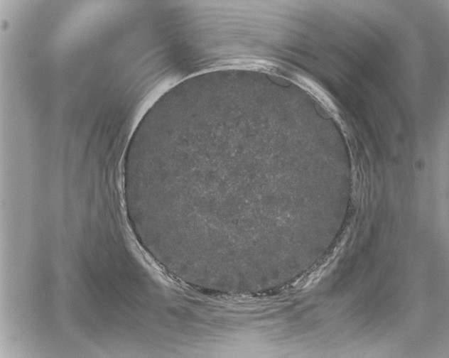 X0000067950907200604171432