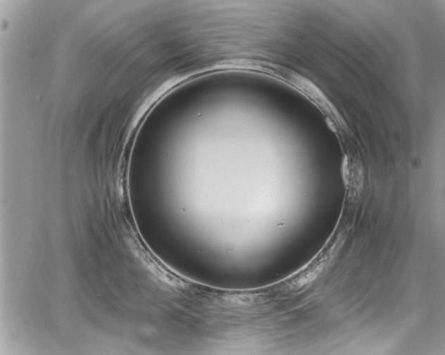 X0000067950908200604171432