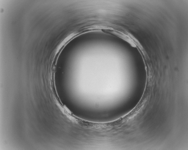 X0000067950909200604171432