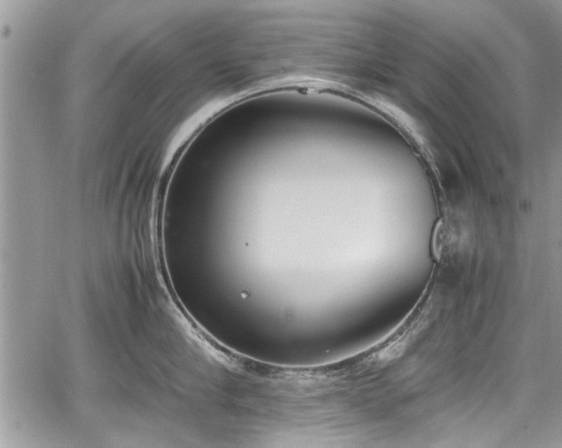 X0000067950910200604171432