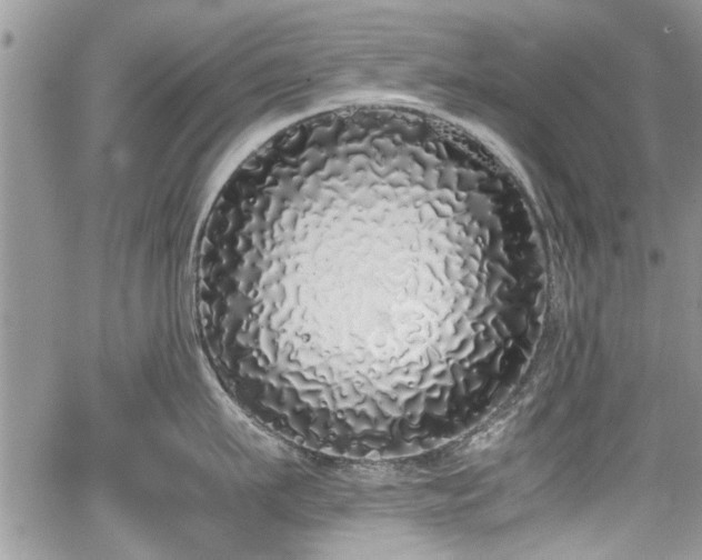 X0000067950911200604171432