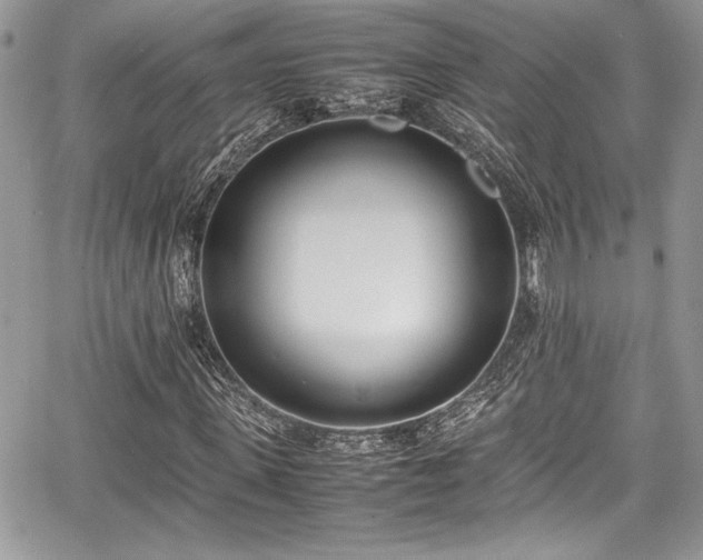 X0000067950915200604171431