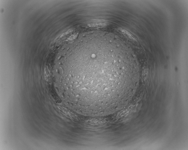 X0000067950917200604171431